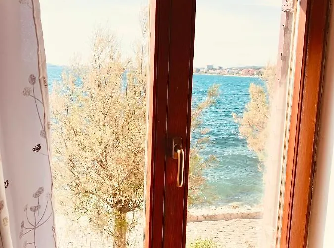 First Row By The Sea * 비빈제