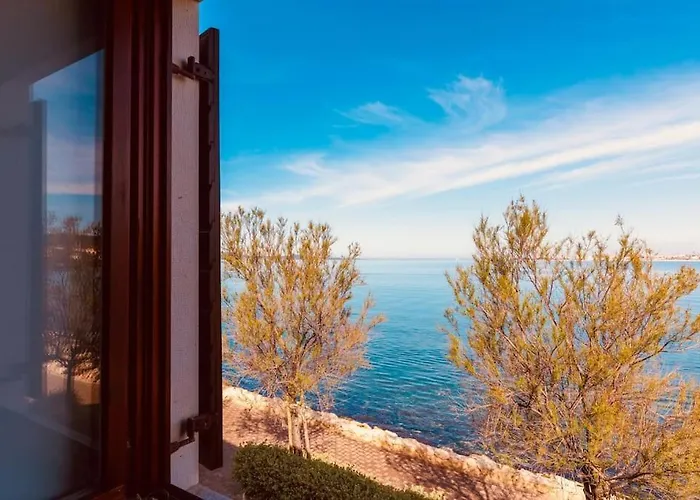 First Row By The Sea * 비빈제